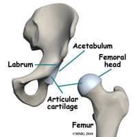 Hip Surgeon in Kirkland, WA