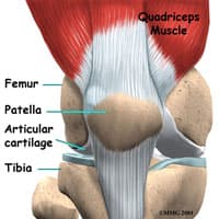 Knee Surgery in Kirkland, WA